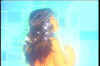 031193.jpg (30844 byte)
