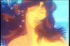 031196.jpg (34254 byte)