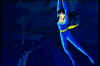 031567.jpg (24934 byte)
