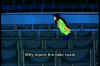 000053.jpg (39120 byte)