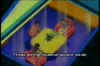 000226.jpg (40096 byte)
